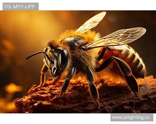 黄蜂生态与行为研究：揭示其在自然界中的关键角色与生存策略