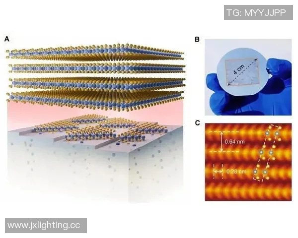 渔具创新与发展：从传统手法到现代科技的完美融合